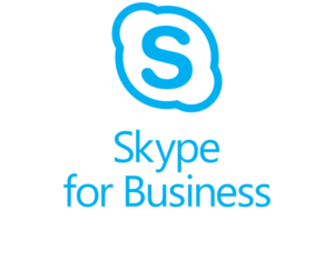 skype web app not showing video